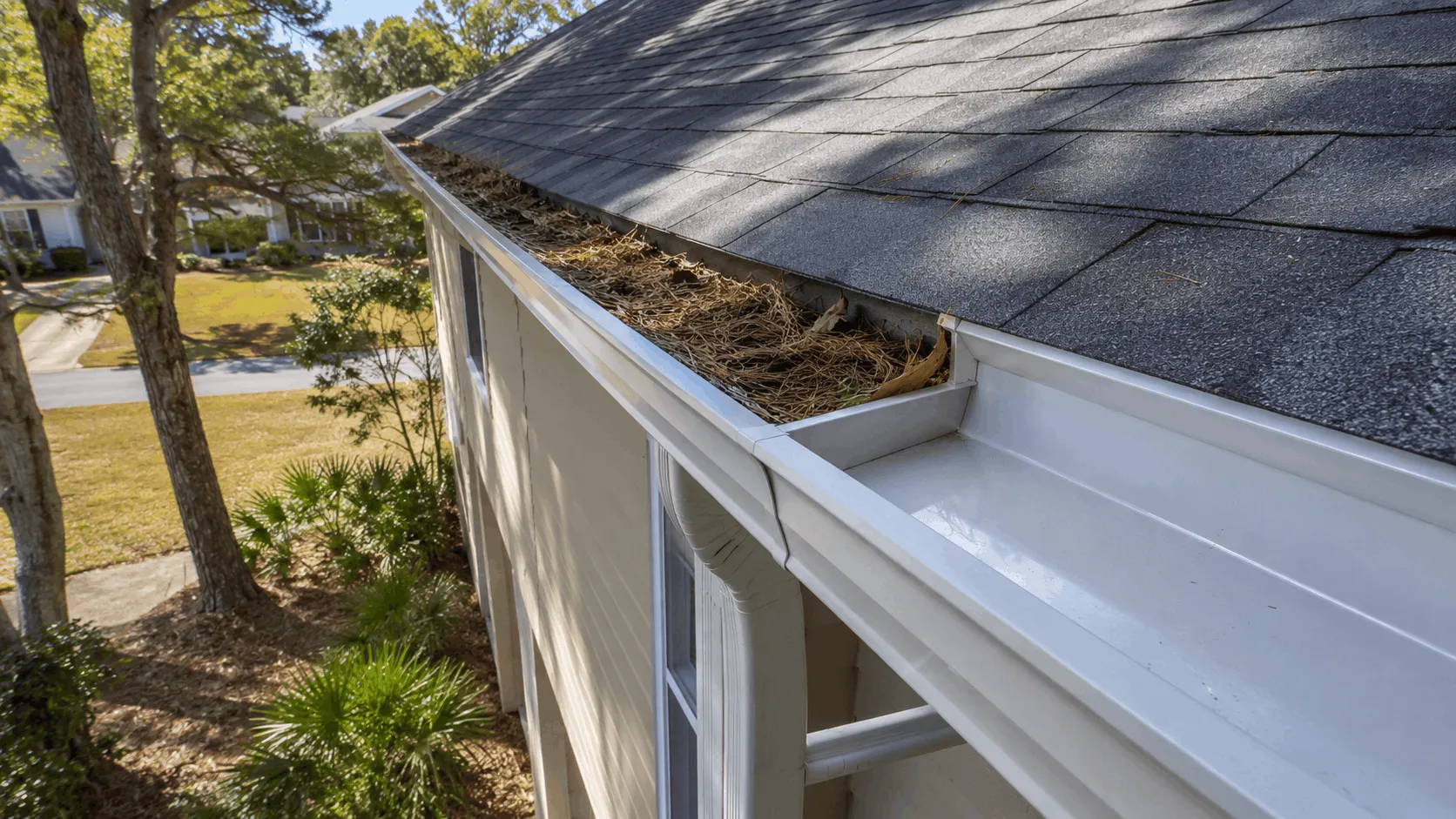 Partially blocked gutter with accumulated seasonal debris