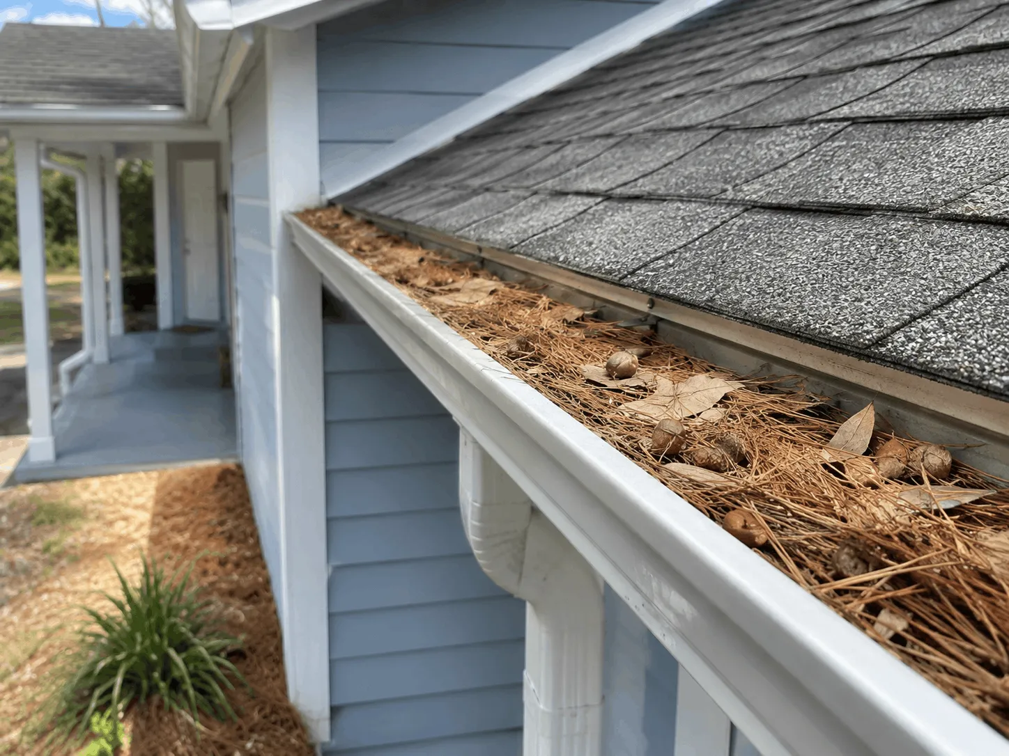 Gutter holding leaf debris above a blocked outlet