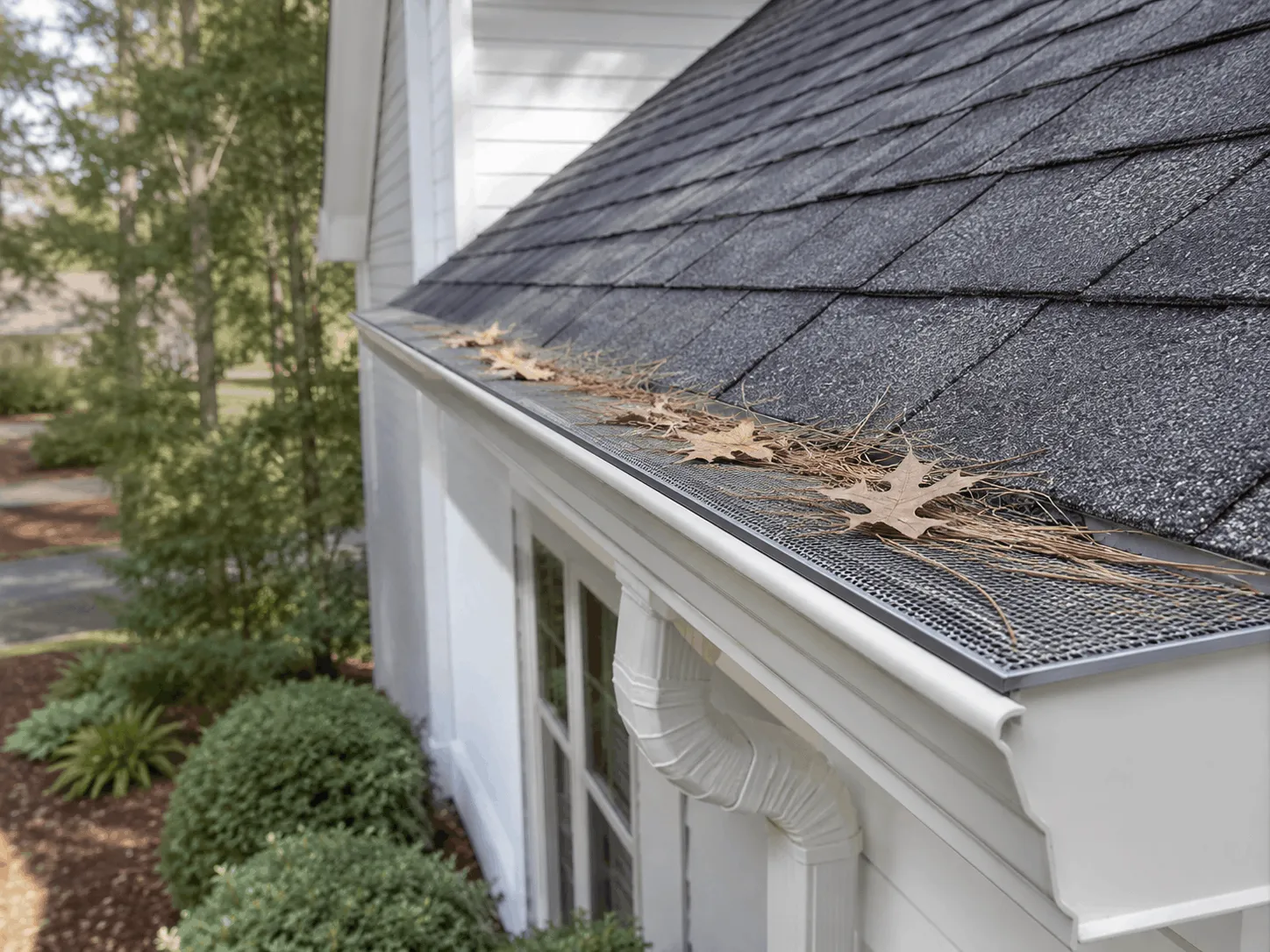 Pine straw resting on the surface of a micro-mesh gutter guard