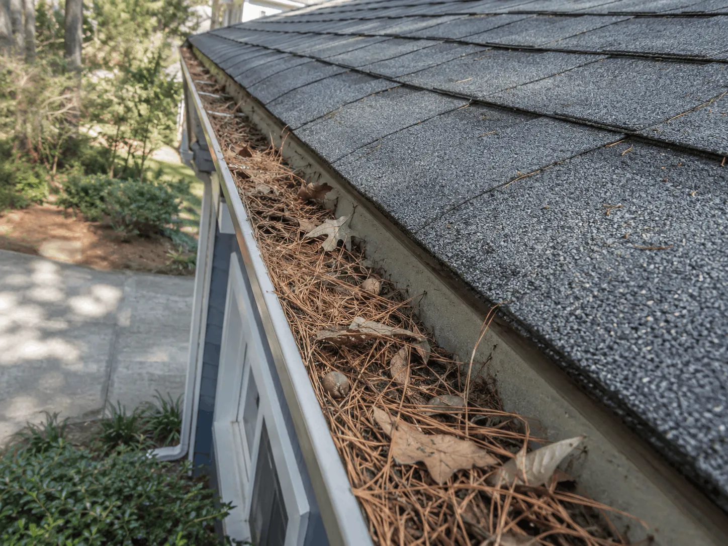 Debris collected along a Washington County roofline