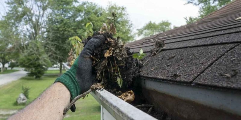 Gutter cleaning Service