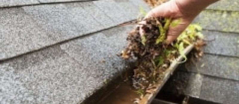 gutter cleaning